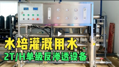 2T/H单级启航彩——现代化农场水培绿叶蔬菜种植